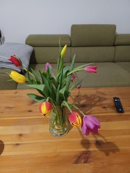 Sehr Zentral Gelegen Apartment เวียนนา ภายนอก รูปภาพ