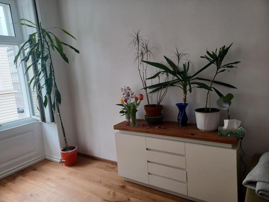Sehr Zentral Gelegen Apartment เวียนนา ภายนอก รูปภาพ